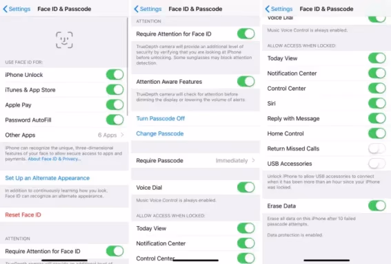 Check Face Id Settings